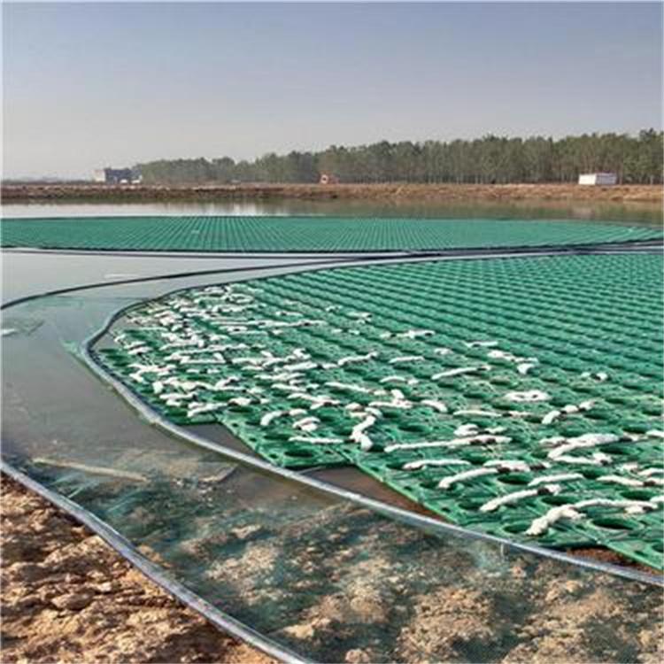 人工浮岛漂浮生态浮床河道绿化水生植物种植养护