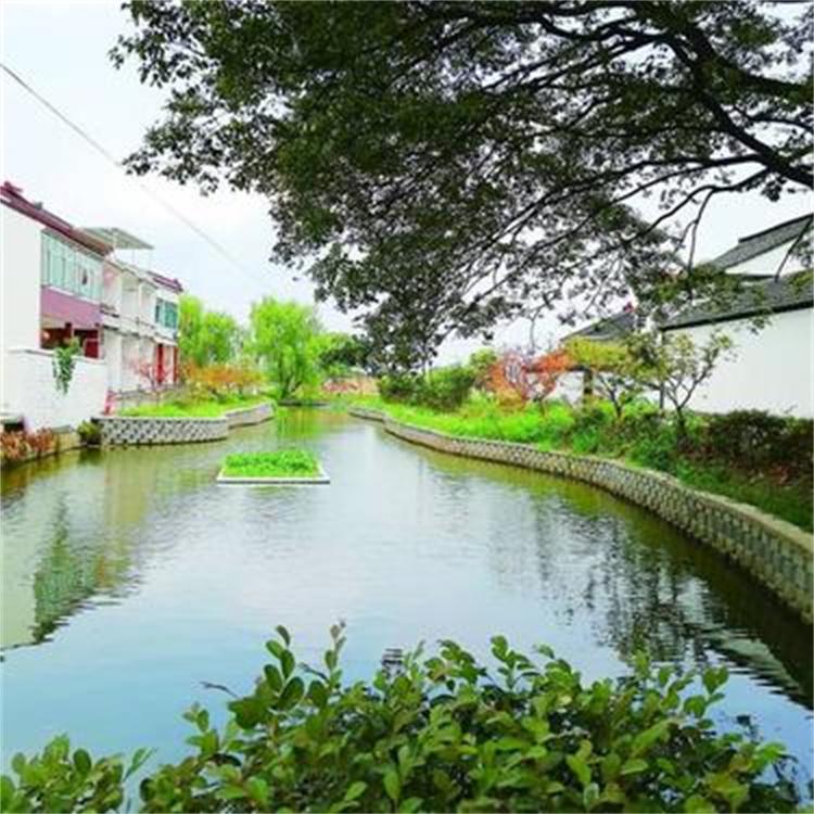 人工浮岛基地 生态浮床设计安装 污水处理 水上种植