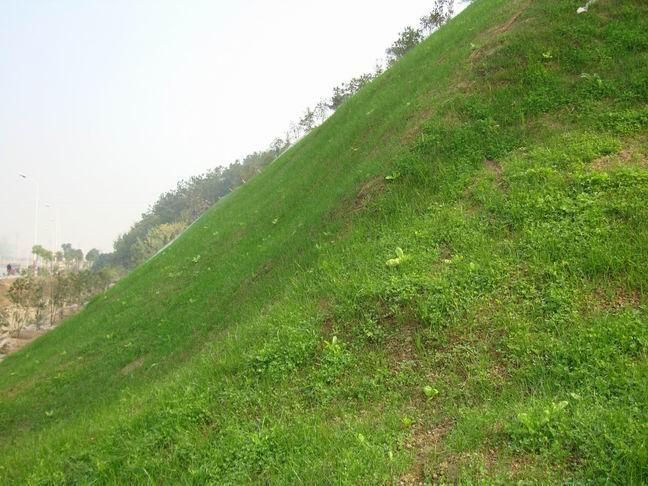 河南团粒喷播施工 客土喷播施工 山体绿化施工