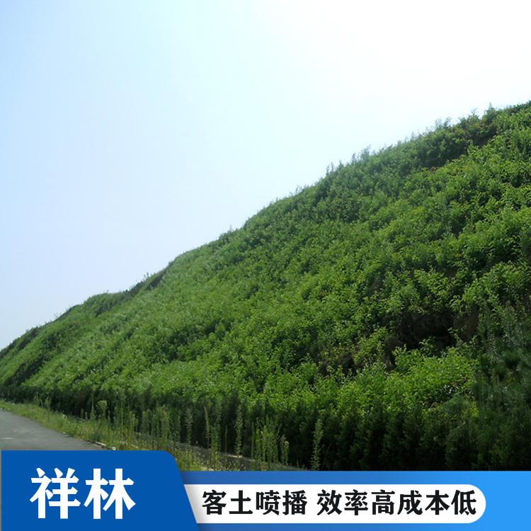 客土喷播施工-客土喷播工程 绿化喷播