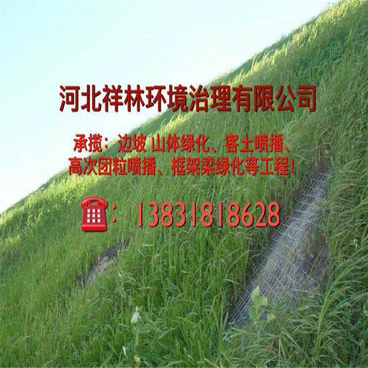 边坡防护-客土喷播-荒山治理绿化