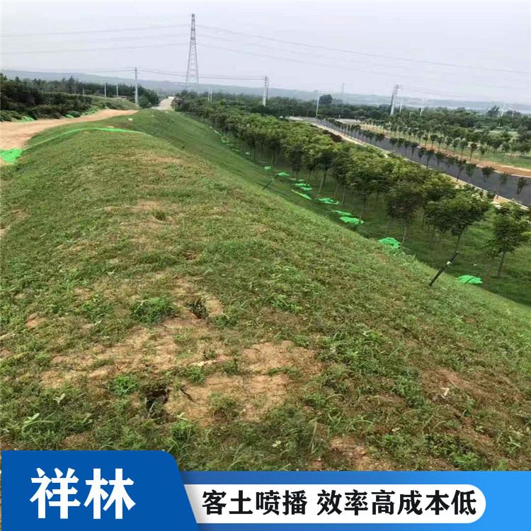客土喷播绿化-祥林客土喷播-客土喷播挂网绿化施工队