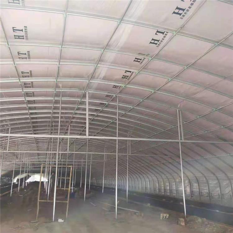 养殖温室大棚钢管 鑫鸿阳 蔬菜大棚用管 常年供应