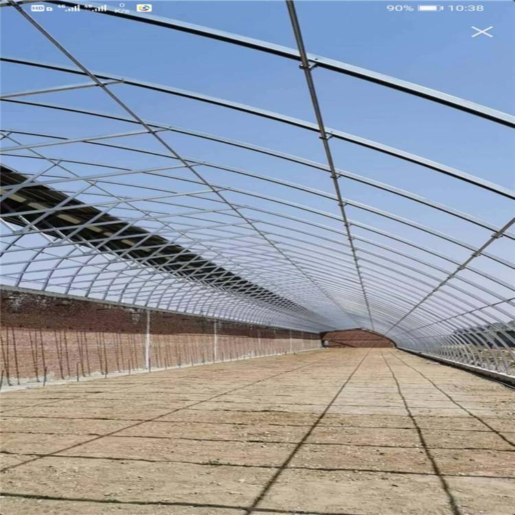 水果种植温室大棚 鑫鸿阳 花卉大棚建设 基地供应