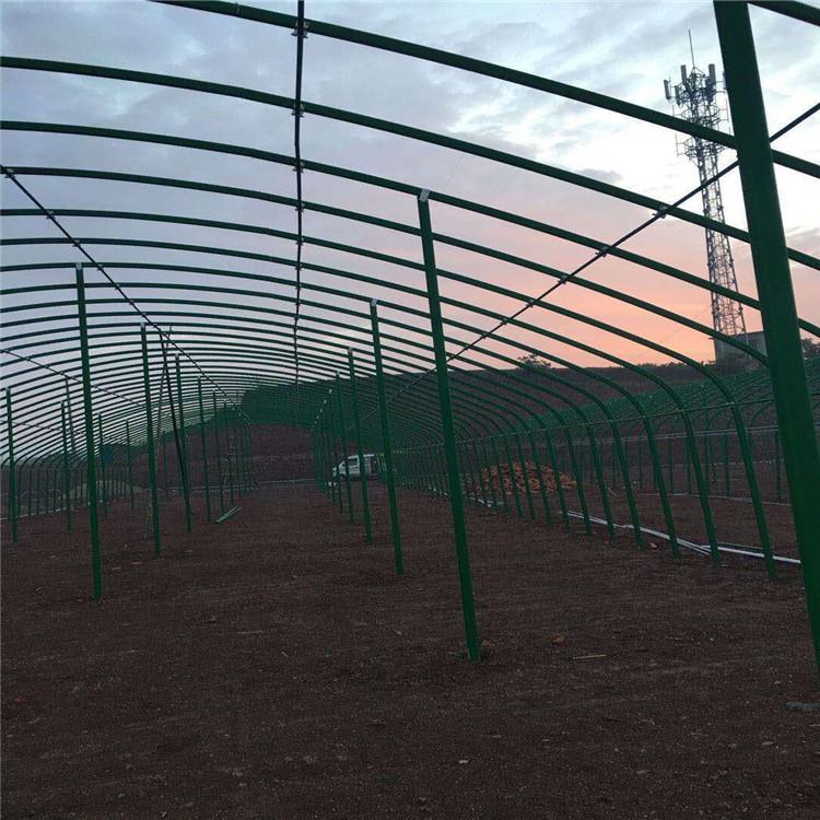 热镀锌大棚管 鑫鸿阳 温室大棚钢管 基地直供