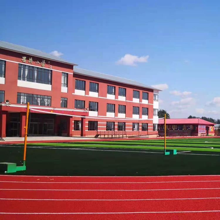 全塑型运动跑道工程承接 球场塑胶跑道 信联体育 多色可选