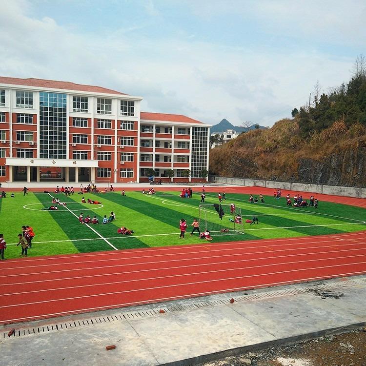 全塑型运动跑道工程承接 球场塑胶跑道 信联体育 多色可选