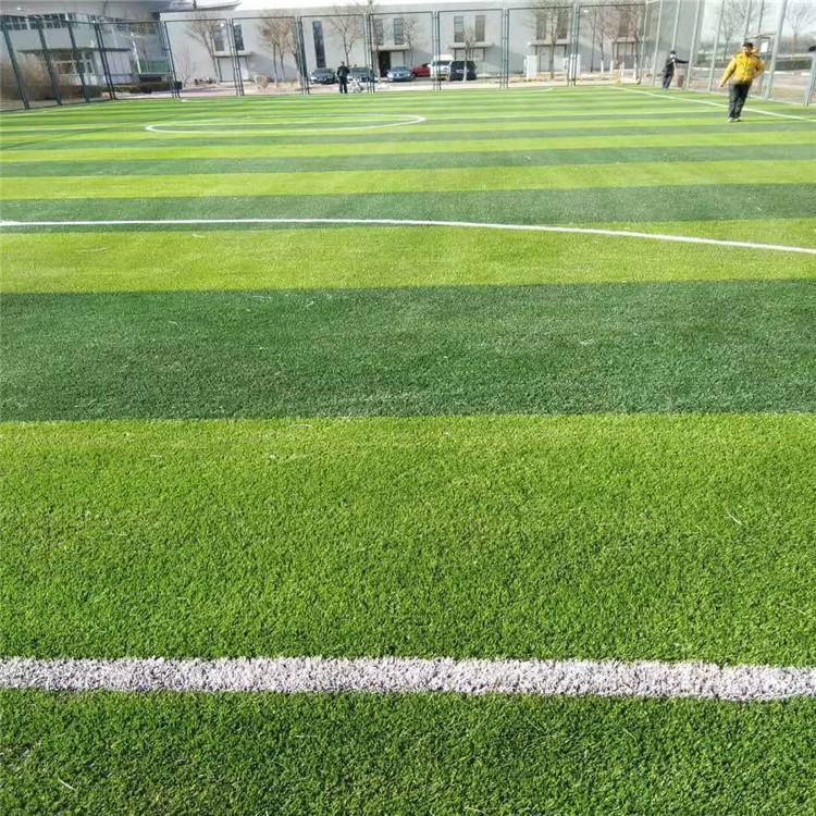装饰草坪 人造草坪幼儿园地毯 信联体育 弹性