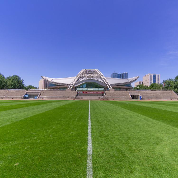 运动跑道设施 足球场人工草皮 信联体育 地面工程施工