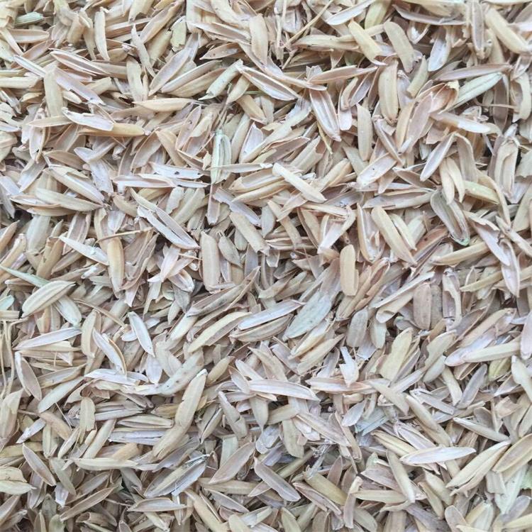 大量供应新鲜填充稻壳酿酒 除尘 压缩压块牧场垫料