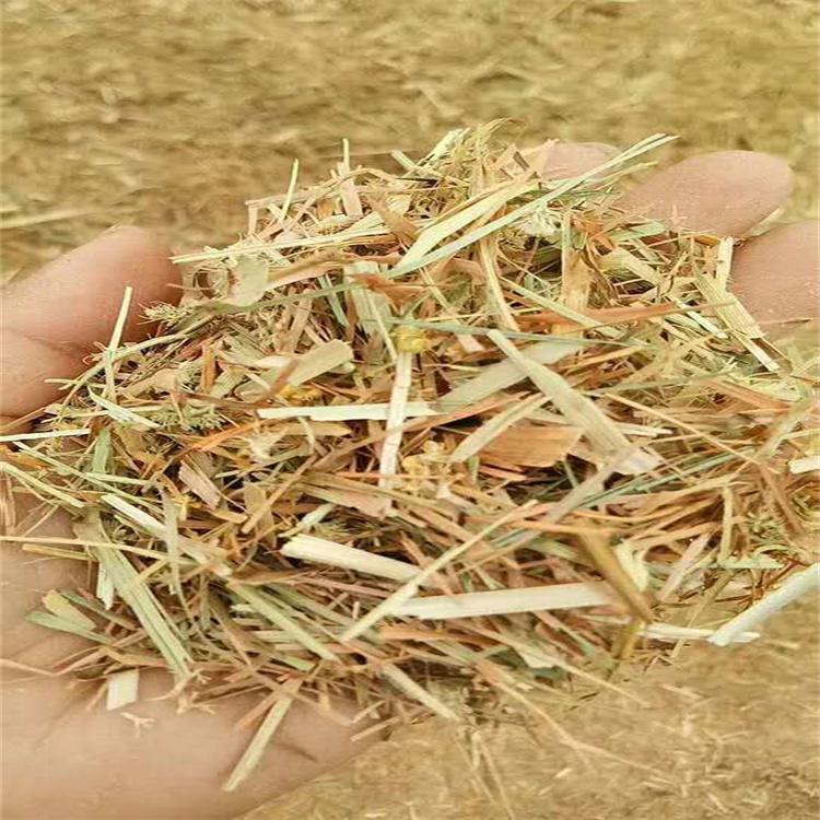 牛羊草料过冬草料 玉米秸秆 纯小麦秸秆养牛养羊