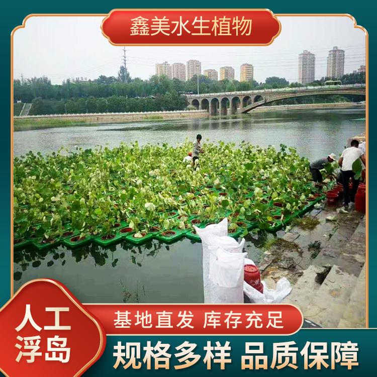 方形人工生态浮岛 浮床 水生植物浮板 规格齐全现货销售