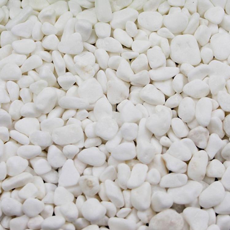 供应白色卵石景观石公园造景