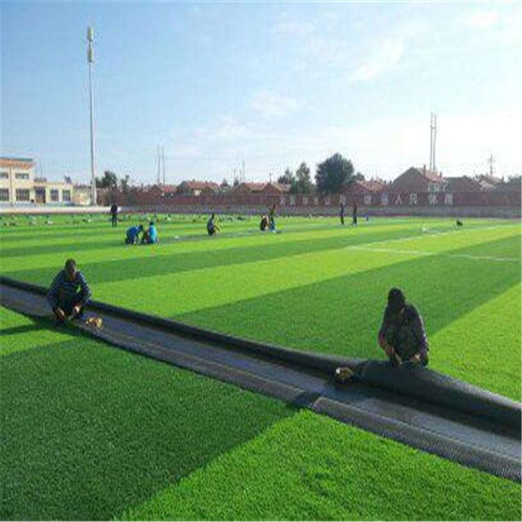 祥盛体育人造仿真草坪 工程围挡假草坪 幼儿园地毯草户外人工绿色草皮
