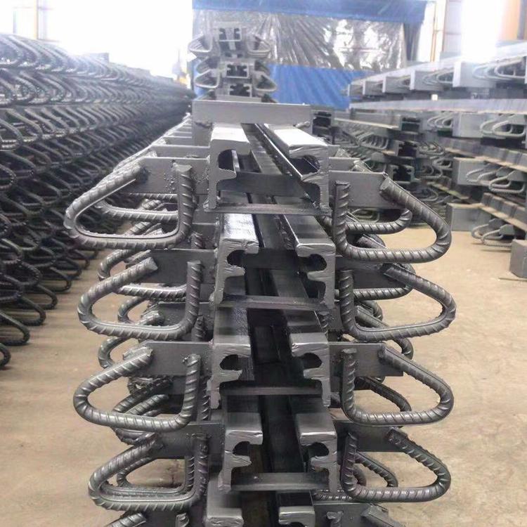 地面公路变形缝装置 桥梁伸缩缝系列 D80模数式伸缩缝