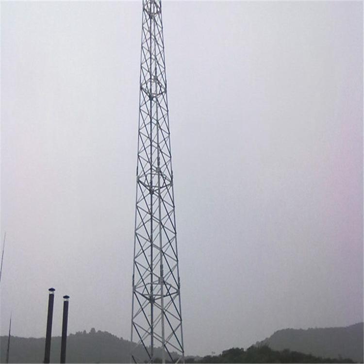 厂家专业定制各种_避雷塔_GJT圆钢避雷塔_角钢避雷塔