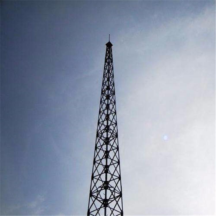 避雷塔 钢结构避雷塔 工艺避雷塔价格