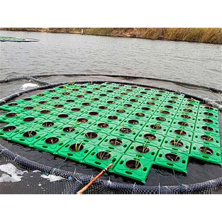 生态浮岛单价 湿地人工浮岛施工 电话 炎日水生