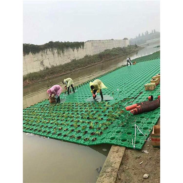 天然浮岛 大型湿地仿生浮岛 电话 炎日水生