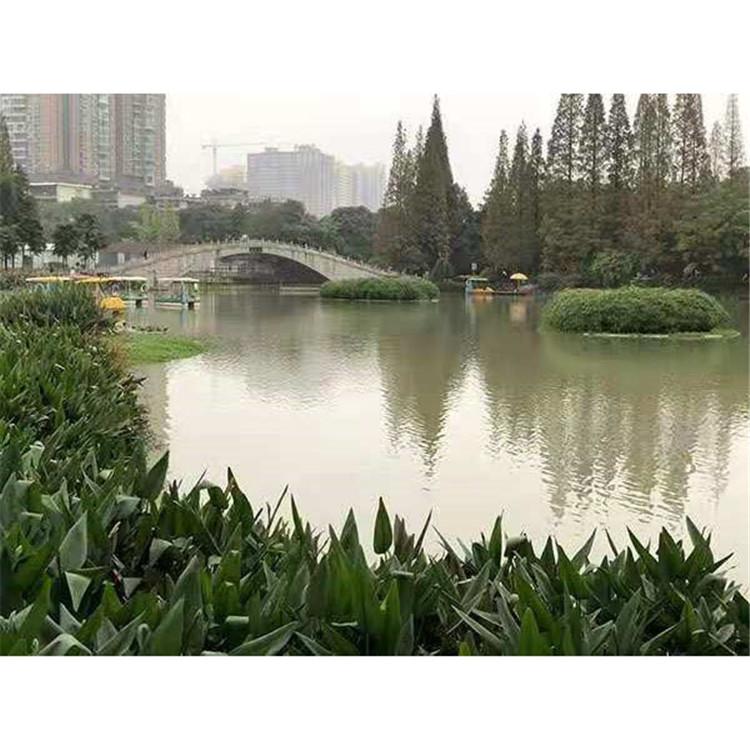 浮岛植物养护 公园人工浮岛工程 生命力强 炎日水生