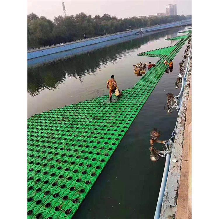 景观浮岛厂家 中型湿地植物浮床 改善水质 炎日水生