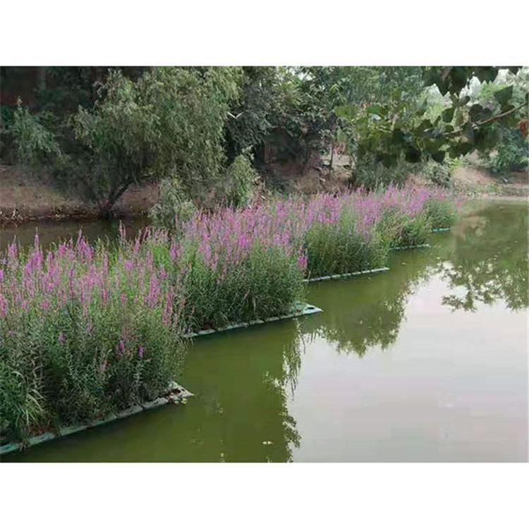 天然浮岛 大型湿地仿生浮岛 电话 炎日水生