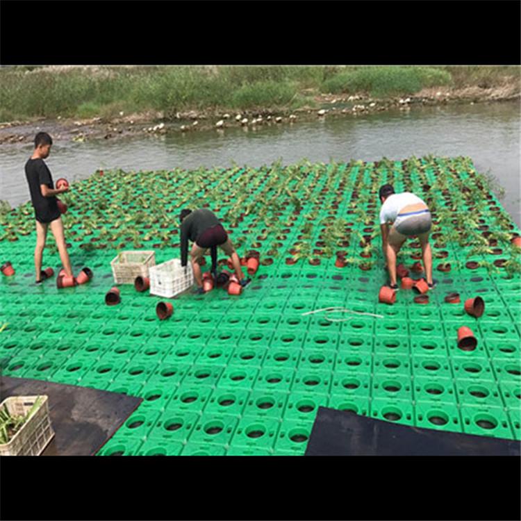 生态浮床工程 湿地人工浮床订制 专供城市美华 炎日水生