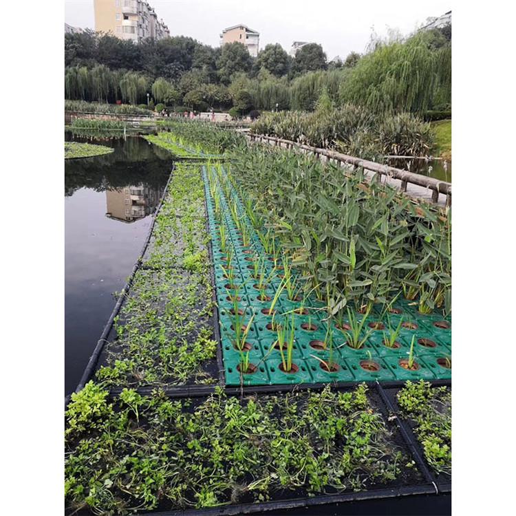 浮岛制作 中型湿地人工浮岛 制景更美观 炎日水生