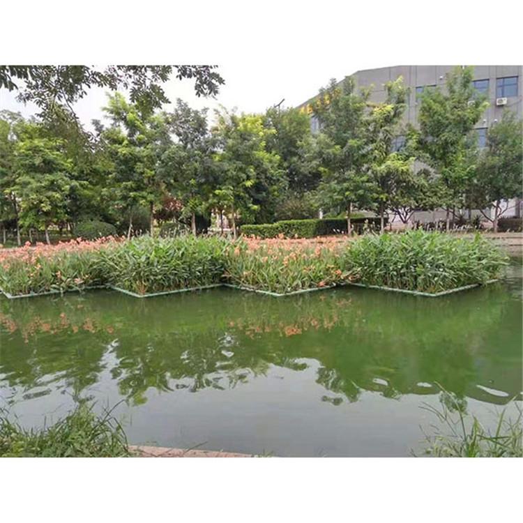 天然浮岛 大型湿地仿生浮岛 电话 炎日水生