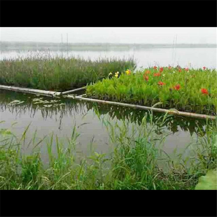 生态浮岛单价 湿地人工浮岛施工 电话 炎日水生