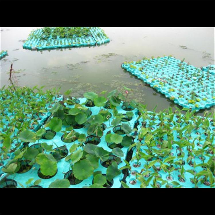 浮岛制作 中型湿地人工浮岛 制景更美观 炎日水生