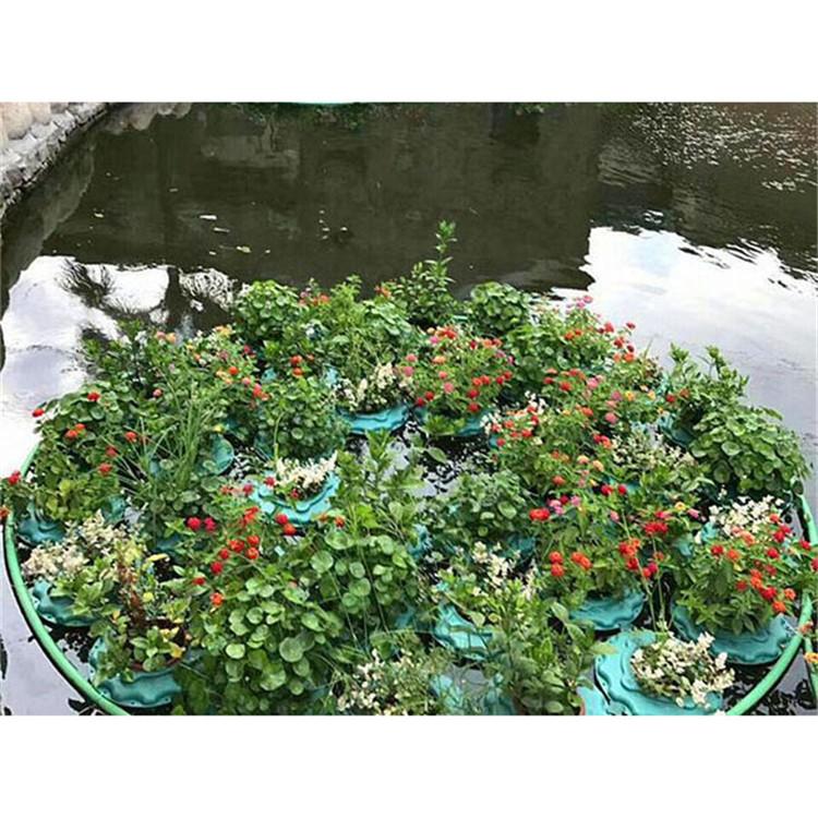 公园景观浮岛 湿地浮床定制 基地供应 炎日水生