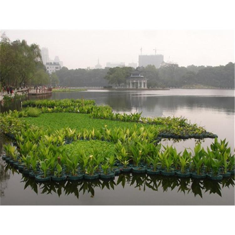 生态浮岛单价 湿地人工浮岛施工 电话 炎日水生