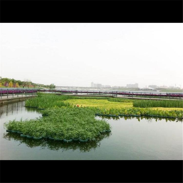 生态浮岛单价 湿地人工浮岛施工 电话 炎日水生