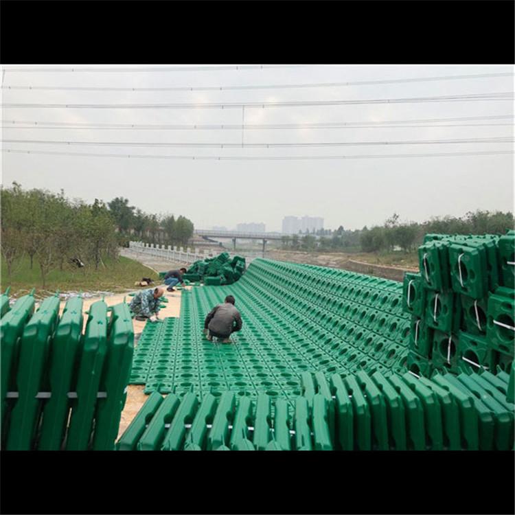 景观浮岛厂家 中型湿地植物浮床 改善水质 炎日水生