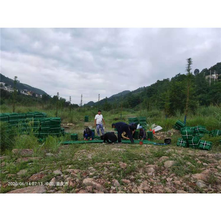 景观浮岛厂家 中型湿地植物浮床 改善水质 炎日水生