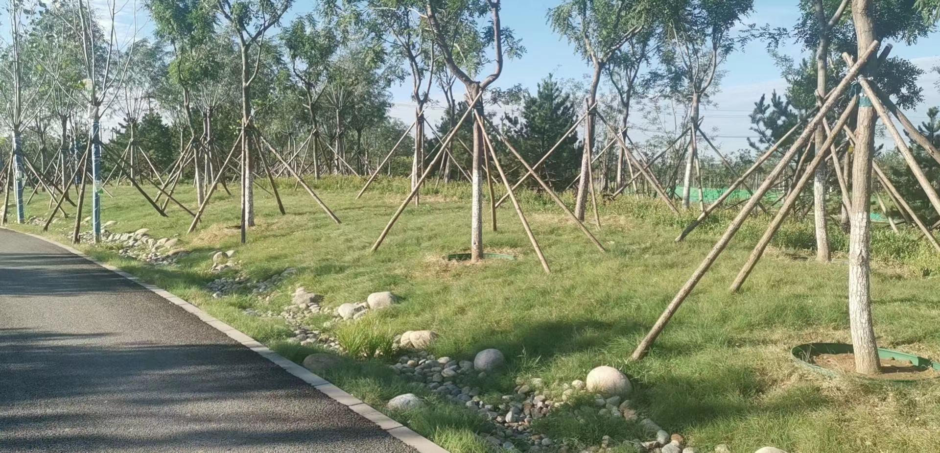 保定悦诚园林绿化工程有限公司