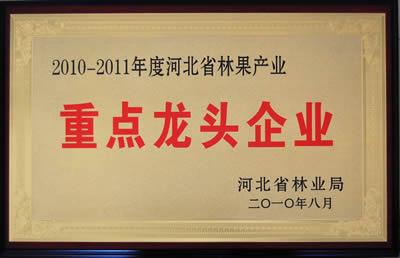 河北省林果产业重点龙头企业