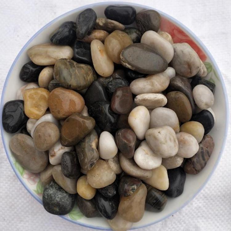 厂家直销 天然杂色鹅卵石 变电站污水处理厂 鹅卵石滤料 园林铺路石