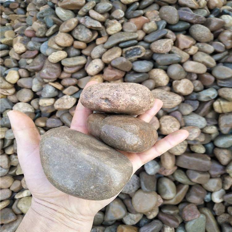 50斤鹅卵石铺路铺地庭院园林造景天然大小石头雨花石原石鹅软暖石