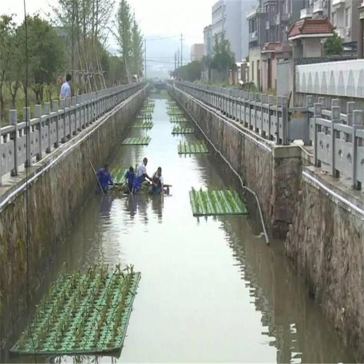 水上种植浮板 生态组合浮床 艺顺园