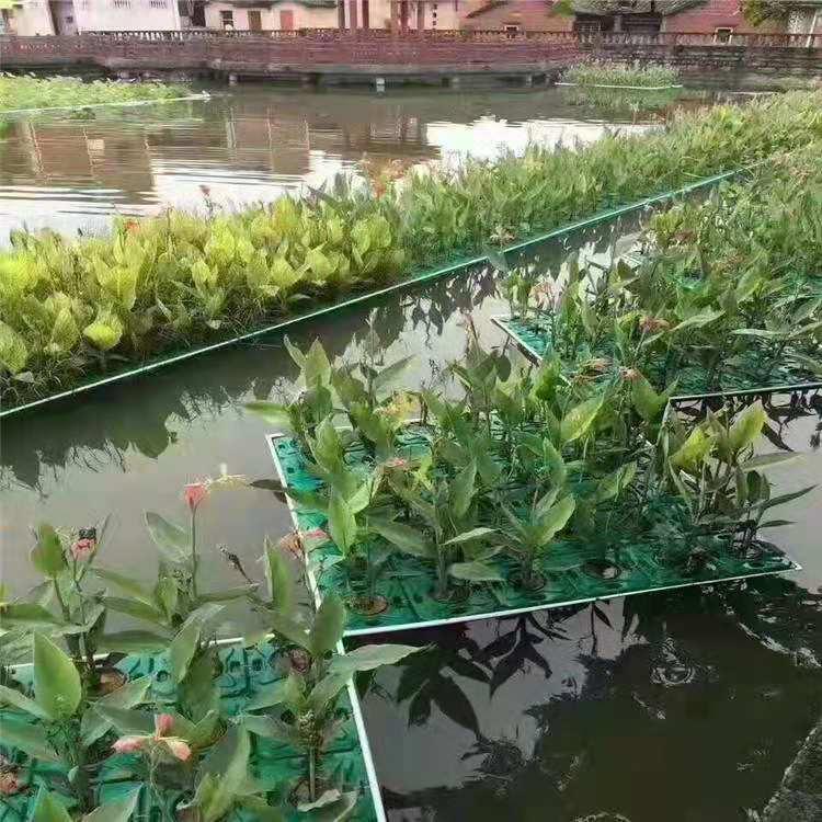 水生植物浮岛 水生植物浮床 艺顺园