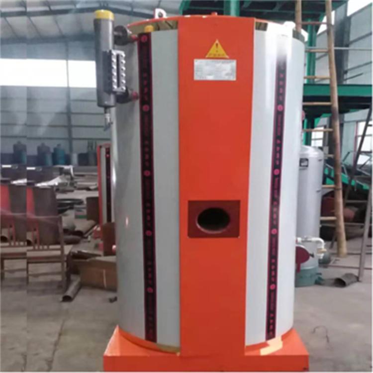 专业从事生产 燃煤热水锅炉厂家  4吨立式蒸汽锅炉