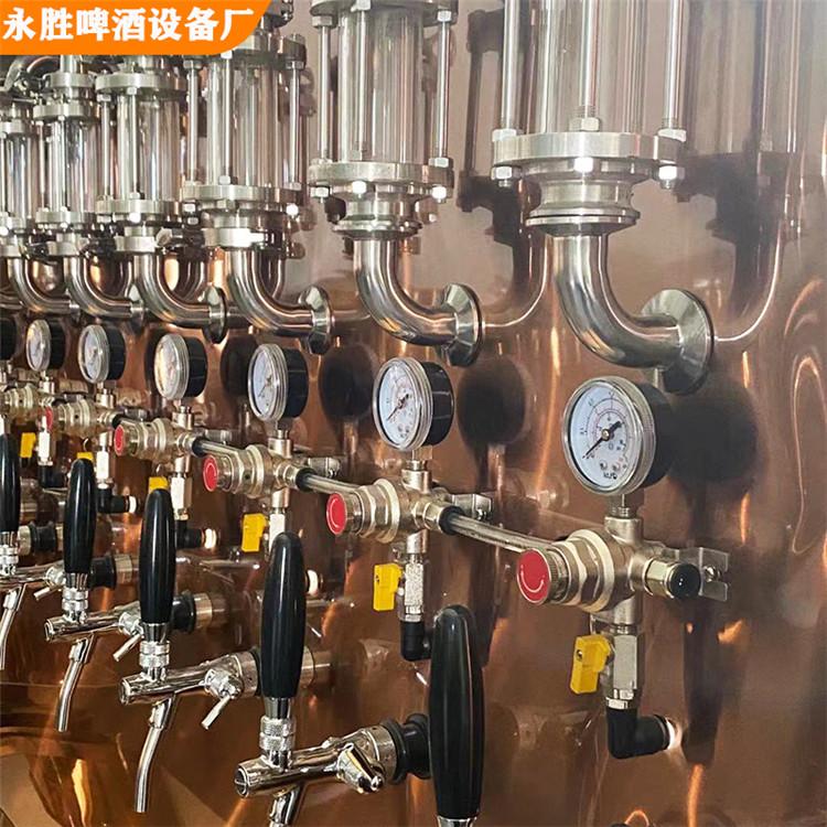 自酿啤酒设备扎啤机啤酒墙