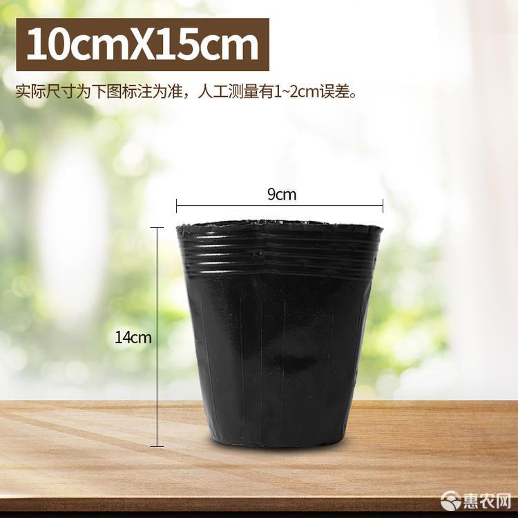 厂家供应优质加厚营养钵、育苗杯
