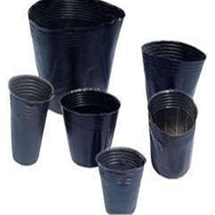 批发供应优质育苗容器 各种型号育苗杯 16x14型号营养钵