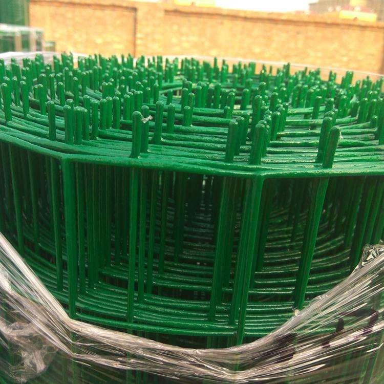 现货养鸡铁丝网 硬塑养殖荷兰网 浸塑圈地护栏网 加粗果园铁丝网