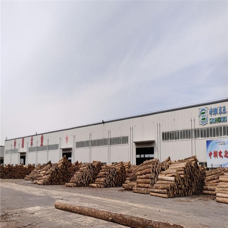 中潮木业 防腐木板材 原木木材 原材料批发厂家 品质保证