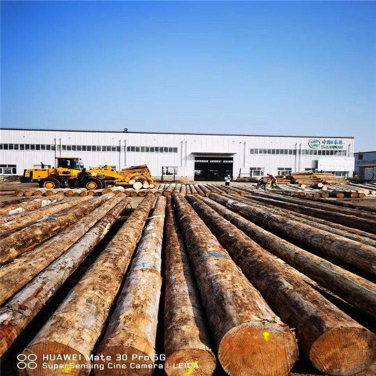 樟子松防腐木批发 樟子松圆柱 现货供应 量大从优