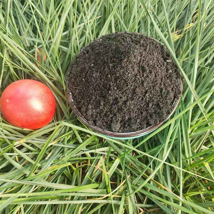 猪粪 有机肥 厂家直销批发